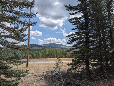 Pend Oreille River Acreage For Sale in Oldtown Idaho