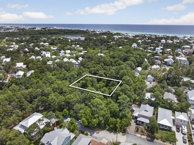 Great location! This oversized lot along 30A is conveniently - photo 2