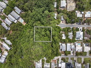 Great location! This oversized lot along 30A is conveniently - photo 6