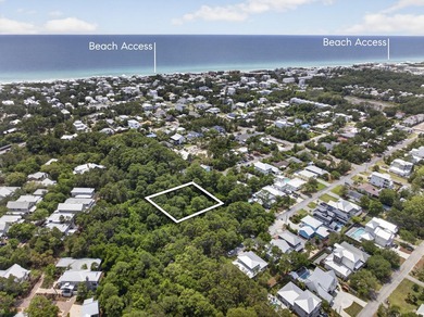 Great location! This oversized lot along 30A is conveniently - photo 9