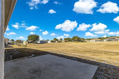 Wonderful 3 Bed / 2 Bath home on the Golf Course with side entry - photo 43