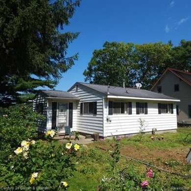 Lake Home For Sale in Grass Lake, Michigan