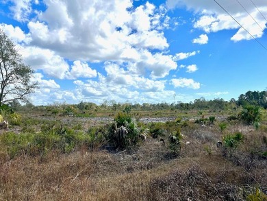 This exceptional 50-acre parcel presents a rare opportunity to - photo 11