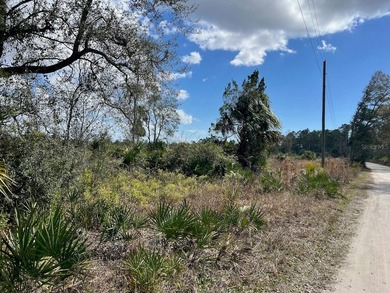 This exceptional 50-acre parcel presents a rare opportunity to - photo 12