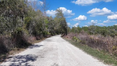 This exceptional 50-acre parcel presents a rare opportunity to - photo 14
