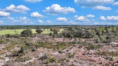 This exceptional 50-acre parcel presents a rare opportunity to - photo 15