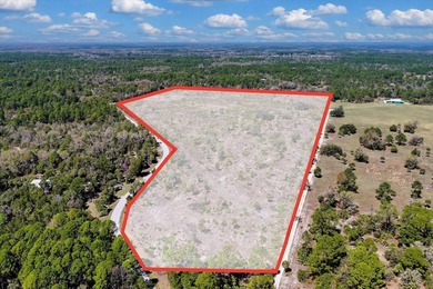 This exceptional 50-acre parcel presents a rare opportunity to - photo 18