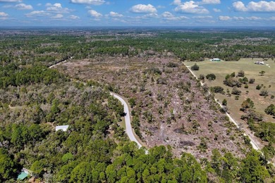 This exceptional 50-acre parcel presents a rare opportunity to - photo 19