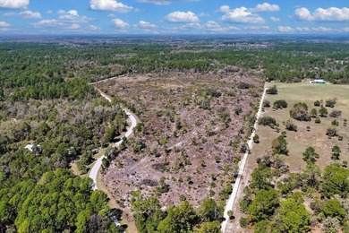 This exceptional 50-acre parcel presents a rare opportunity to - photo 20