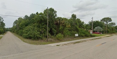 Lehigh Acres Area Lot For Sale in Lehigh Acres Florida