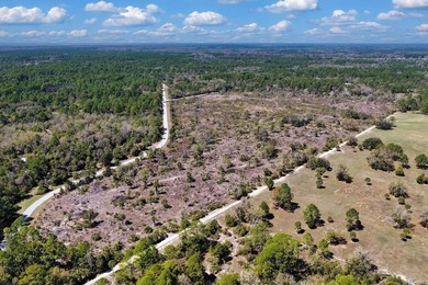 This exceptional 50-acre parcel presents a rare opportunity to - photo 21