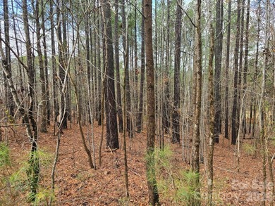 OWNER FINANCING AVAILABLE! Build your dream home on this - photo 1