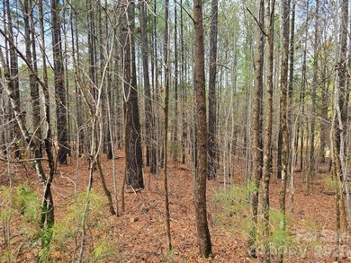 OWNER FINANCING AVAILABLE! Build your dream home on this - photo 2