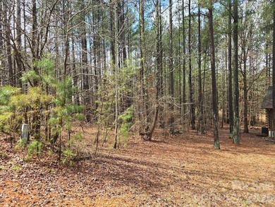 OWNER FINANCING AVAILABLE! Build your dream home on this - photo 3