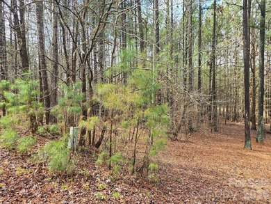 OWNER FINANCING AVAILABLE! Build your dream home on this - photo 4