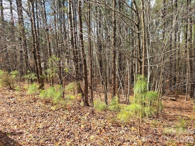 OWNER FINANCING AVAILABLE! Build your dream home on this - photo 5