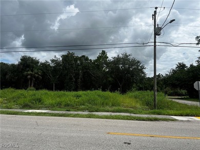 Lehigh Acres Area Lot For Sale in Lehigh Acres Florida