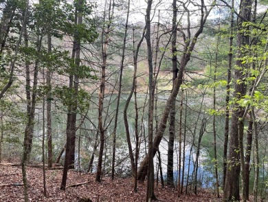 (private lake, pond, creek) Lot For Sale in Cherry  Log Georgia