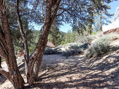Big Bear Lake Lot For Sale in Fawnskin California