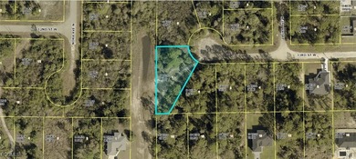Lehigh Acres Area Lot For Sale in Lehigh Acres Florida