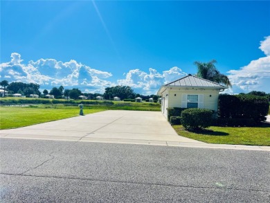 Lake Lot For Sale in Webster, Florida