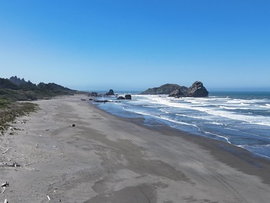 Experience the beauty of coastal living from this exceptional - photo 48