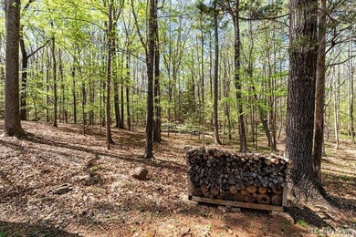 Imagine this: a luxury estate on three Lake Gaston waterfront - photo 55