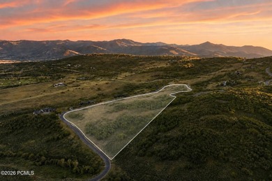 1374 W Red Fox Road offers a rare opportunity to build in The - photo 1