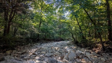 (private lake, pond, creek) Acreage For Sale in Clarkridge Arkansas