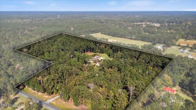 This breathtaking French Acadian estate offers the pinnacle of - photo 37