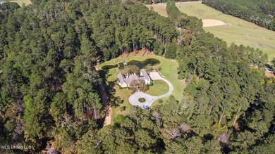 This breathtaking French Acadian estate offers the pinnacle of - photo 49