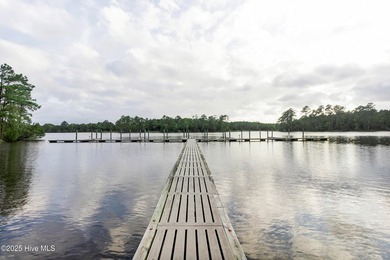 Enjoy space, water access, and community amenities in The - photo 13
