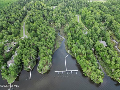 Enjoy space, water access, and community amenities in The - photo 20
