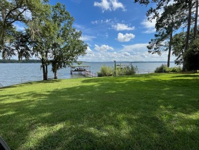 Lake Home For Sale in Ft. Gaines, Georgia