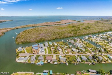 Rare opportunity to own a DIRECT GULF ACCESS waterfront pool - photo 38