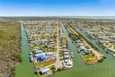 Rare opportunity to own a DIRECT GULF ACCESS waterfront pool - photo 39