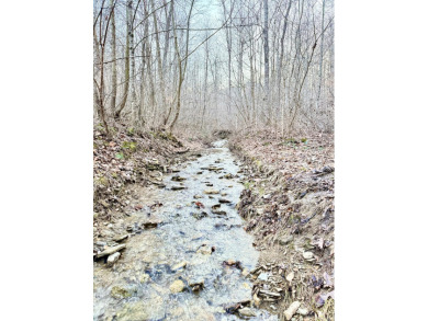 Lake Acreage Sale Pending in Stanford, Kentucky