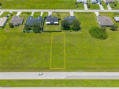 Prime Commercial Property in Cape Coral! Endless Development - photo 3