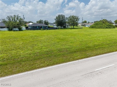 Prime Commercial Property in Cape Coral! Endless Development - photo 4