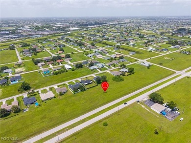 Prime Commercial Property in Cape Coral! Endless Development - photo 5