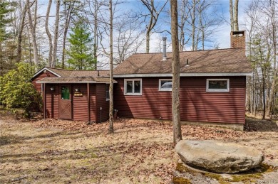 Wolf Lake Home Sale Pending in Mamakating New York