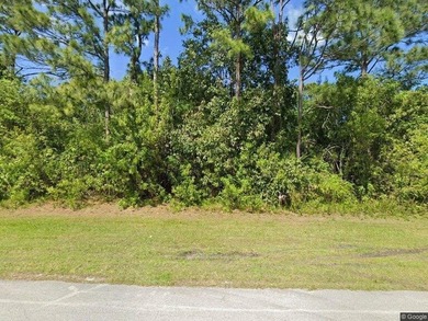 Rare Double Lot Opportunity in Woodland Trails - 0.46 Total - photo 1