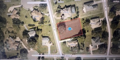 Lake Griffin Lot For Sale in Lady Lake Florida