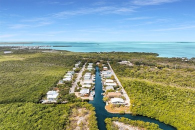 CANAL FRONT - DIRECT OCEAN ACCESS!! Welcome to an experience in - photo 4