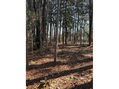 This listing (Lot 6) is for one buildable lot in the heart of - photo 5