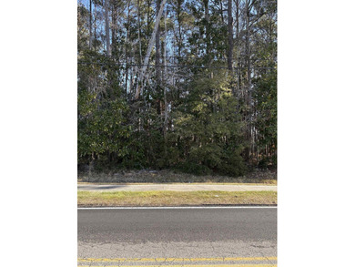 This listing (Lot 6) is for one buildable lot in the heart of - photo 7