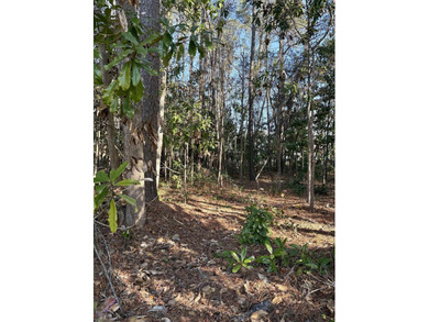 This listing (Lot 6) is for one buildable lot in the heart of - photo 8
