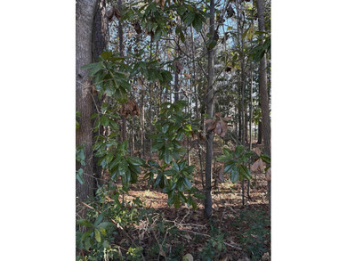 This listing (Lot 6) is for one buildable lot in the heart of - photo 9