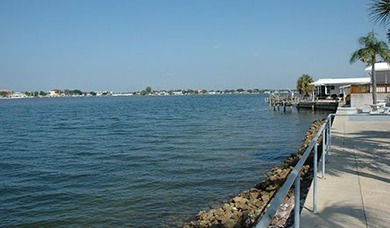TURNKEY! LOT RENT ONLY 1060 a month, includes water, sewer - photo 44
