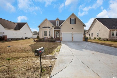 (private lake, pond, coastal) Home For Sale in Georgetown South Carolina